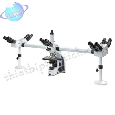 Kính hiển vi sinh học quan sát bảy người cùng lúc Euromex - Hà Lan IS.1156‑PLi7