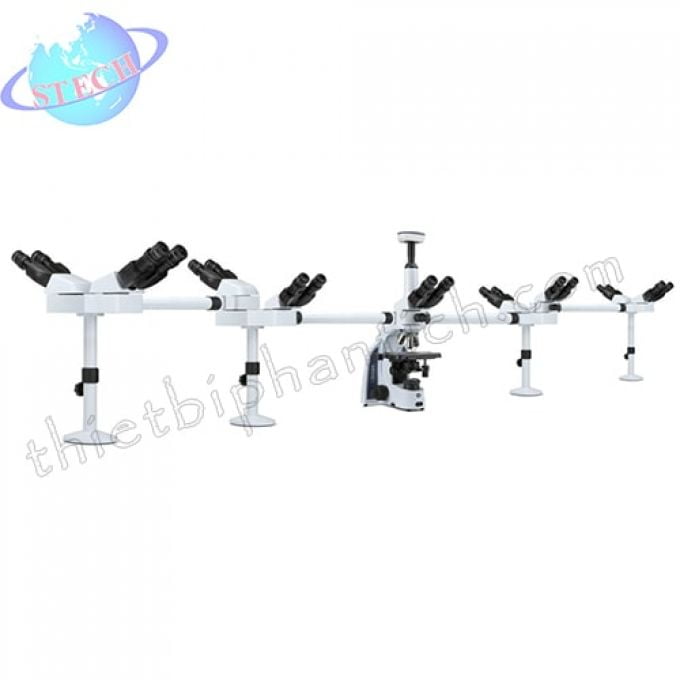 Kính hiển vi sinh học quan sát chín người cùng lúc Euromex - Hà Lan IS.1156‑PLi9