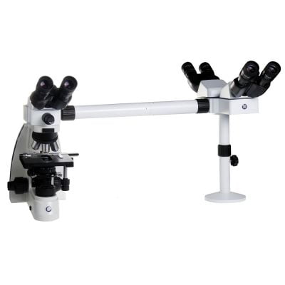 Kính hiển vi ba người quan sát kết nối máy tính phóng đại 1000 lần Euromex - Hà Lan OX.5603