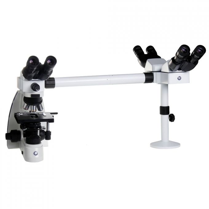 Kính hiển vi ba người quan sát kết nối máy tính phóng đại 1000 lần Euromex - Hà Lan OX.5603