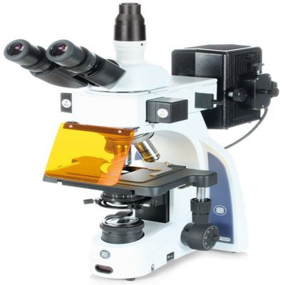Kính hiển vi huỳnh quang kết nối với camera Euromex Hà Lan IS.3153-EPLi/3