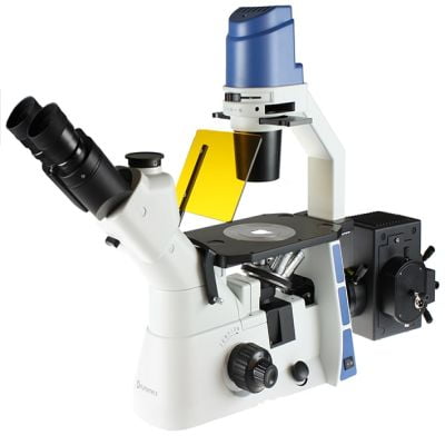 Kính hiển vi soi ngược đo huỳnh quang 2 mắt phóng đại 400 lần Euromex - Hà Lan OX.2253-PLF