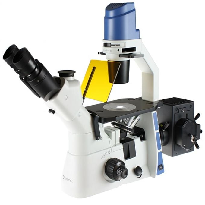 Kính hiển vi soi ngược đo huỳnh quang 2 mắt phóng đại 400 lần Euromex - Hà Lan OX.2253-PLF
