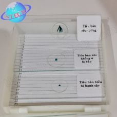 Tiêu bản mẫu cho kính hiển vi