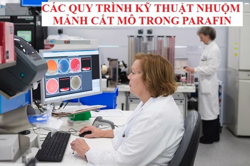 CÁC QUY TRÌNH KỸ THUẬT NHUỘM MẢNH CẮT MÔ TRONG PARAFIN